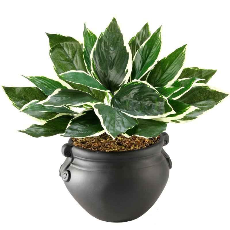 table artificial hosta plant wayfair pricing options